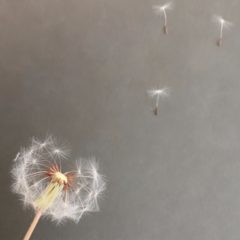 アートとナチュラルの違いとは？対比する価値観の融合