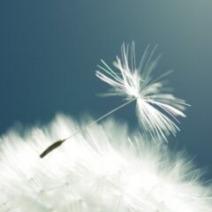 日本人のおしゃれセンスの真実とは？