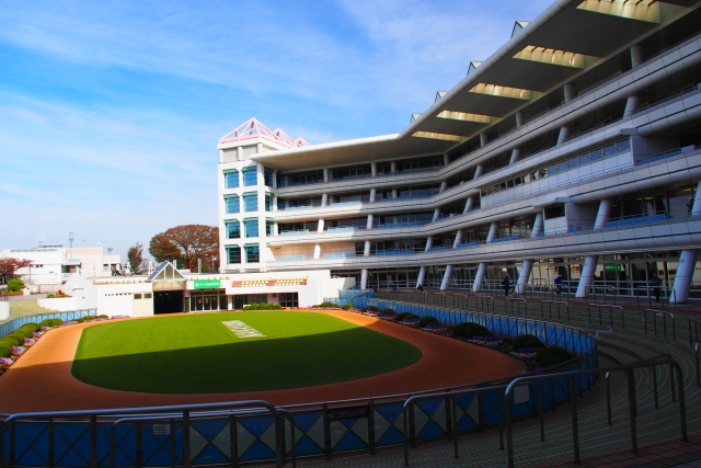 中山競馬場