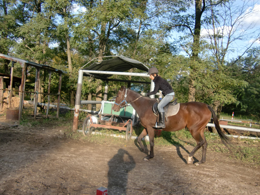 乗馬　ジョッキースタイル