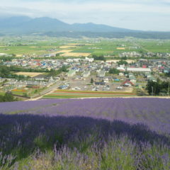 洋服のネット通販”お店のない町の買い物事情”