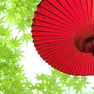 日本人のおしゃれセンスファッションの真実とは？