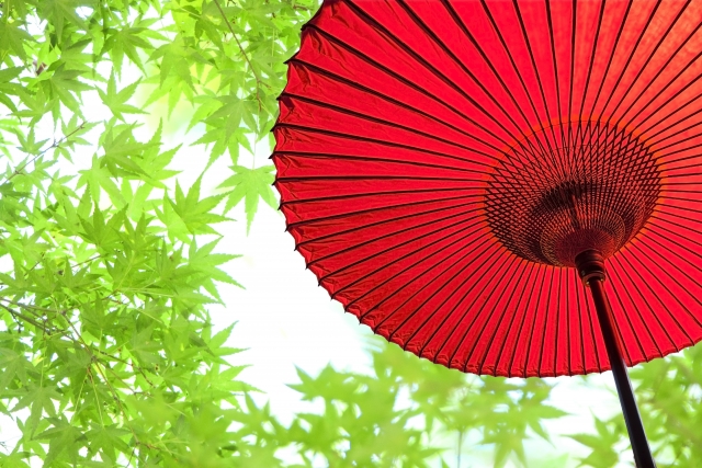 和の雰囲気　和傘　番傘　紅葉　赤い傘