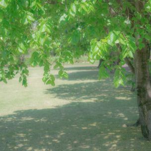 クールビズ涼しい麻/リネントップス営業職の夏の外回りに