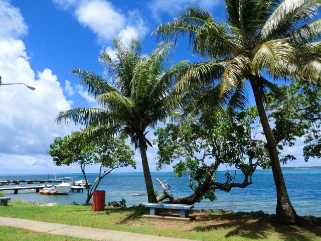 南の国　暖かな　ヤシの木