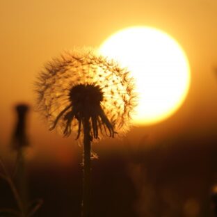 振り返る普通の日々”自分のペースでできる仕事を”