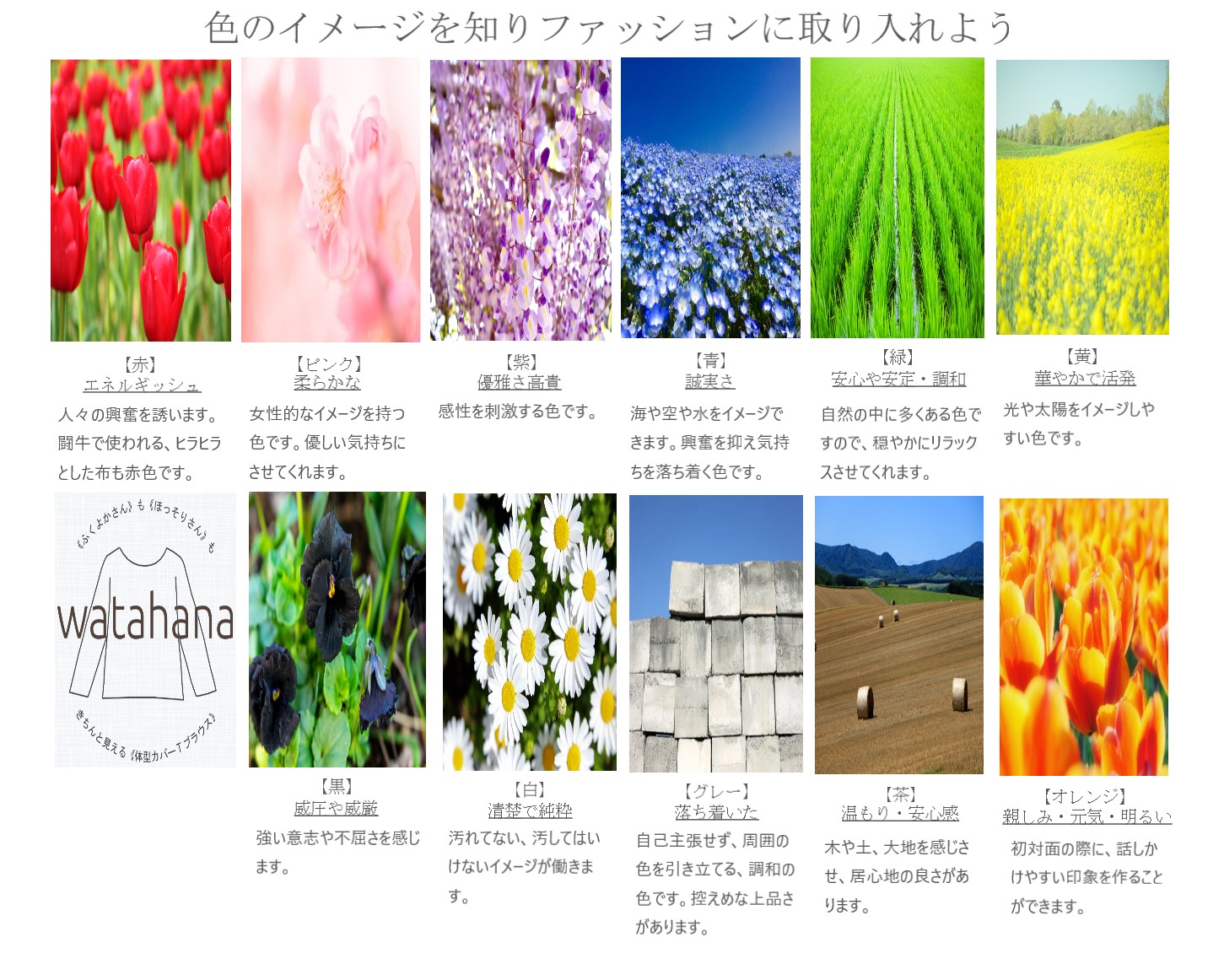 色のイメージをファッションに取り入れよう　体型カバーTブラウス