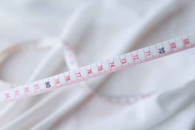 メジャー サイズ 体型カバーTブラウス