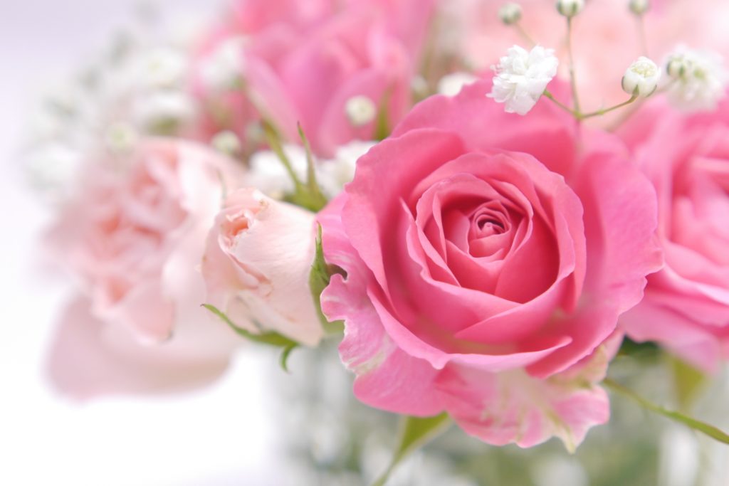 母の日　バラ　プレゼント　ギフト