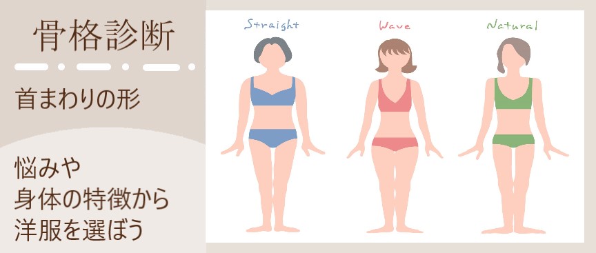 骨格診断　首まわりの形　悩みや身体の特徴から洋服を選ぼう