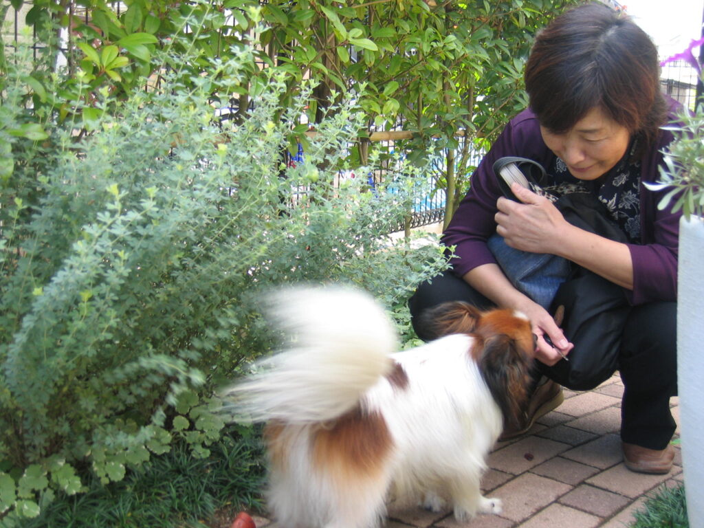 犬と女性と植物
