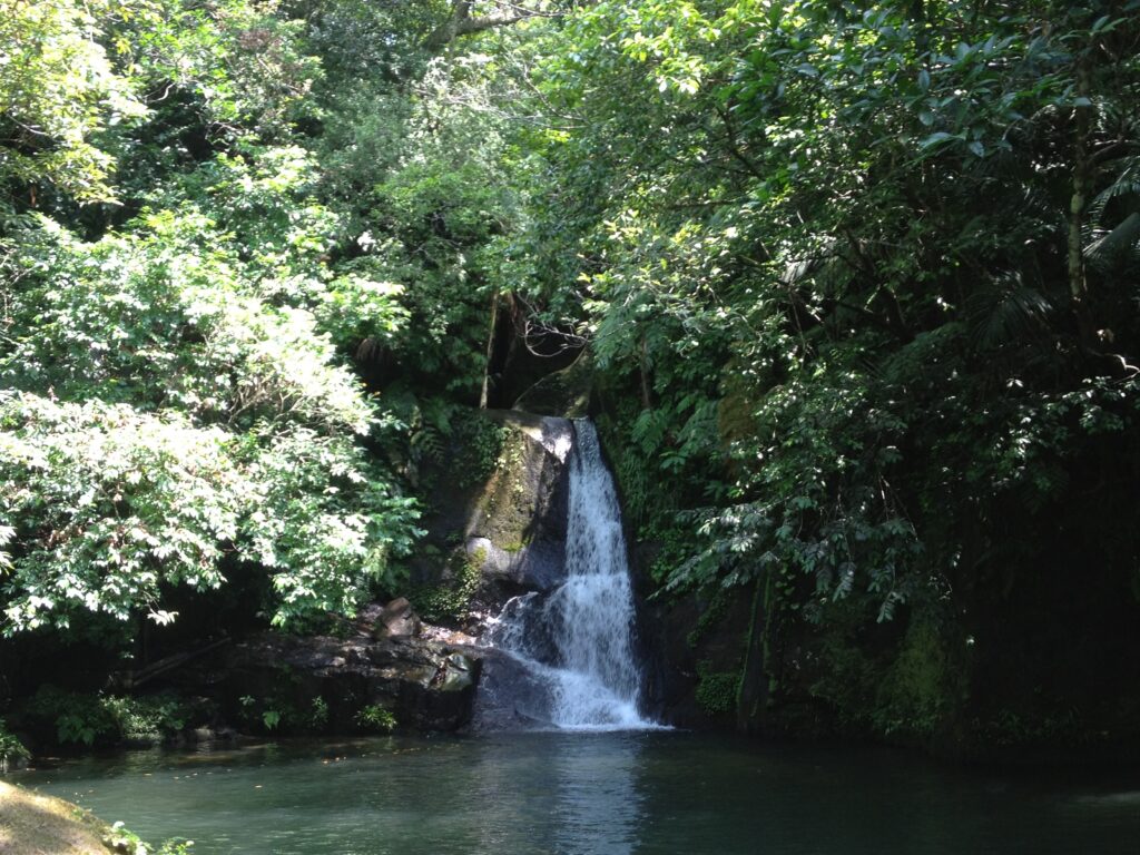 滝　沖縄　西表島　カヌーツアー