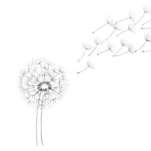 拡散思考 vs 収縮思考：人生にどう活かす？