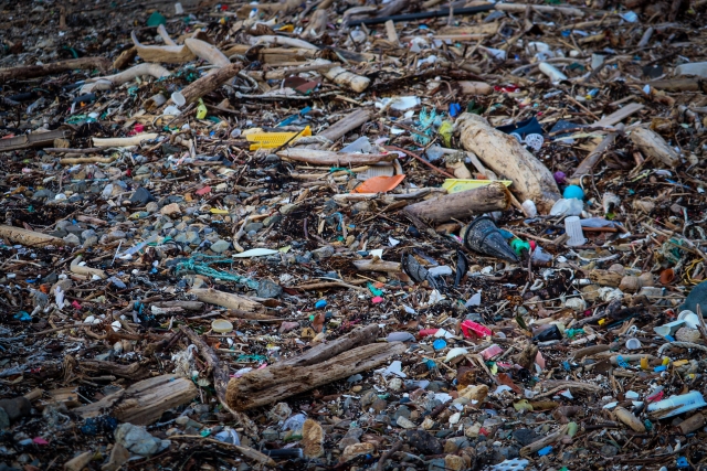 海洋プラスチック　環境問題