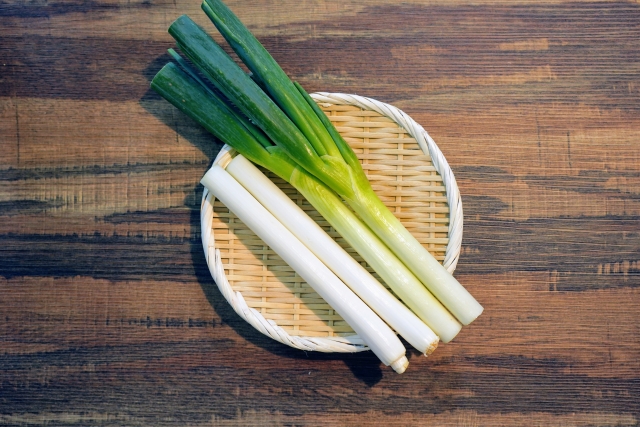 オシャレなネギ　切り揃えられた　カット