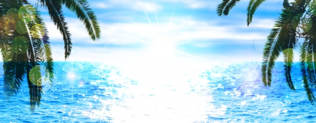 ハワイのビーチ　ヤシの木