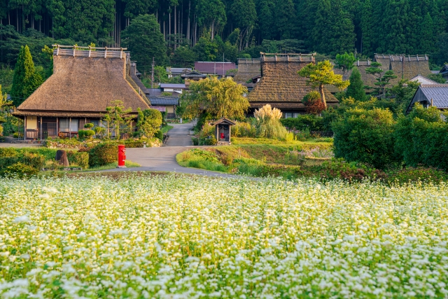 かやぶき屋根　日本昔話のような風景　古民家