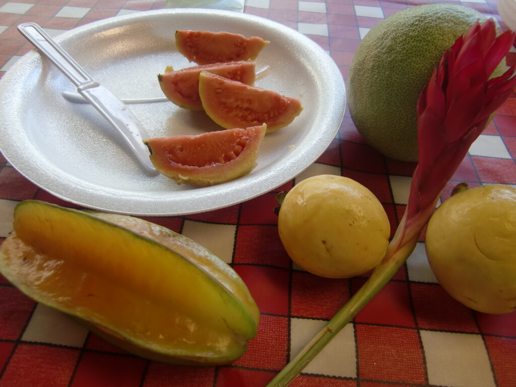 南国フルーツ　実　スターフルーツ　ハワイ