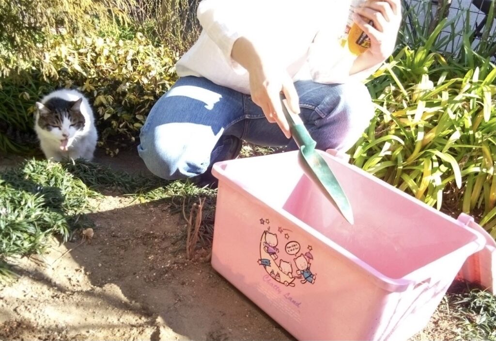 コンポストと猫 生ゴミ処分 お庭 エコ たい肥作り