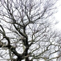 冬の寒さ対策に最適な暖かい洋服生地素材とは？