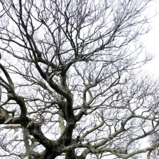 冬に暖かい洋服素材とは？寒さ対策に最適な生地