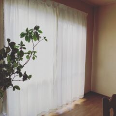 麻素材の活用用途とは？意外な使い方を紹介