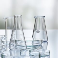 科学が変えるファッション業界の未来