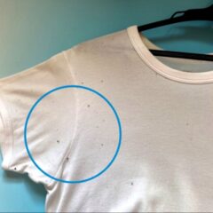 衣類のカビ除去法：自宅でできる簡単手順