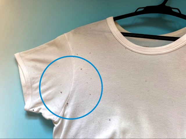 衣類　カビ　除去