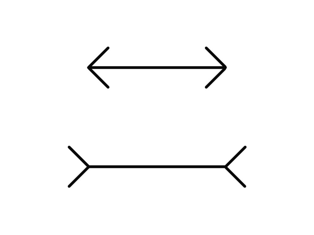 目の錯覚を利用した洋服の選び方ガイド　ミュラーリヤー錯視　矢印