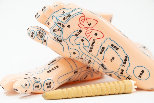 足つぼ　足　臓器