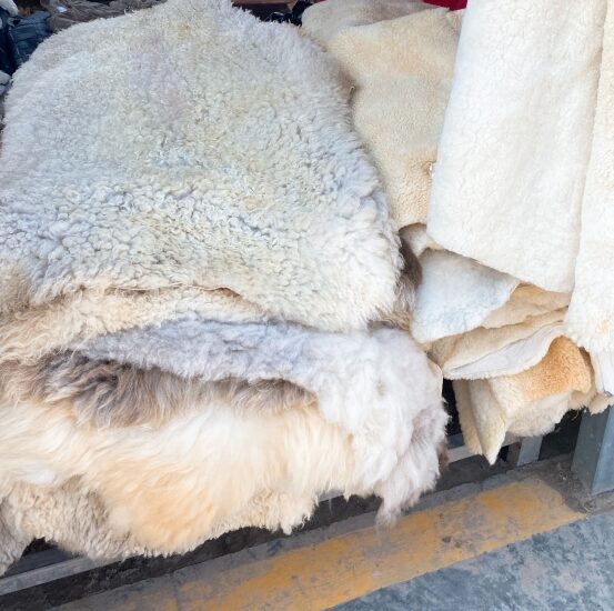 冬こそ選びたいウール素材の魅力とは