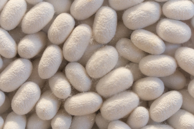 着物の素材判断シルクなのか　燃やして見極め簡単な見分け方とは