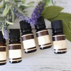 麻/リネンを虫食いから守るための実践法