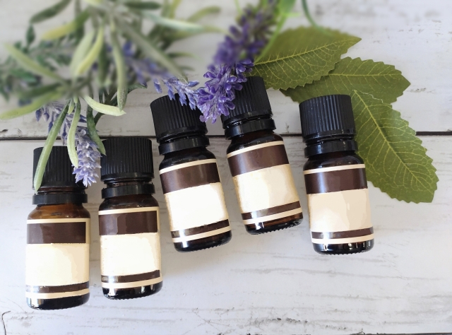 夜干しのデメリット 対策法 虫嫌い 卵を産む